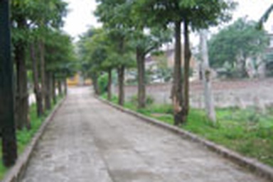 Kim Ngọc và số phận của “khoán chui”