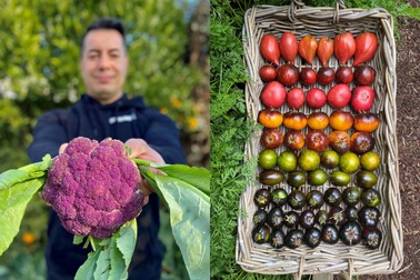 Ông bố 42 tuổi làm vườn trồng rau trái sạch, chinh phục toàn giống cây lạ
