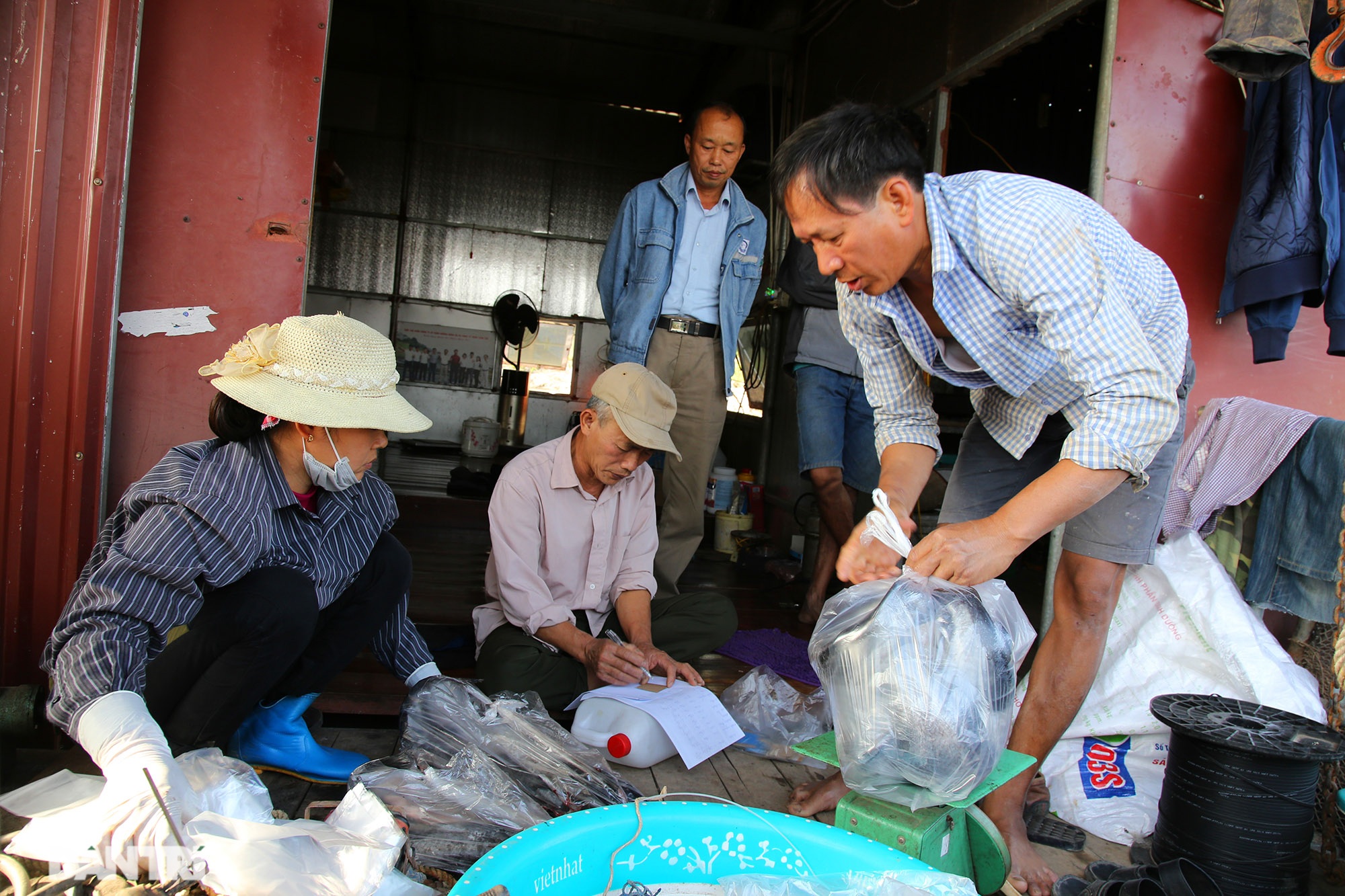 Sông Đà cạn trơ đáy, nông dân hối hả bơm cát cứu cá - 11 Sông Đà cạn trơ đáy, nông dân hối hả bơm cát cứu cá - 11