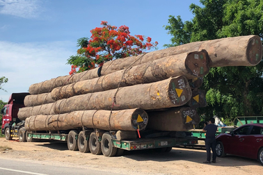 Xe chở gỗ "khủng" từ Hải Phòng đi TPHCM, tài xế bất hợp tác với cảnh sát