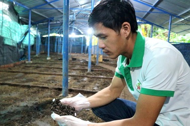 Bỏ TPHCM về quê, thu nửa tỷ đồng mỗi năm nhờ nuôi con "một vốn bốn lời"