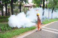 Trung Quốc nỗ lực ngăn chặn dịch Chikungunya