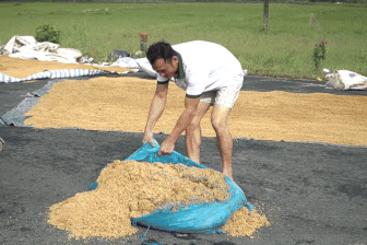 Xe hư, thóc ướt: Người dân Hòa Thịnh bắt đầu lại sau lũ