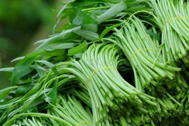 Dấu hiệu nhận diện các loại rau, củ ngậm thuốc “kích phọt”