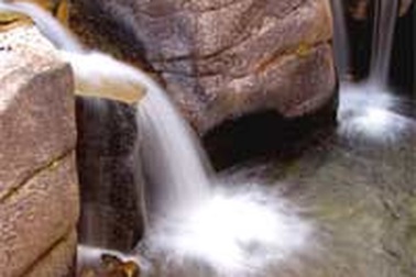 10 “độc chiêu” chụp ảnh kỹ thuật số 