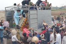 Bắt khẩn cấp 9 đối tượng cướp gà tiêu hủy 