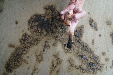 Tổng cục Môi trường phân tích mẫu nước biển đen ngòm ở khu vực Dung Quất