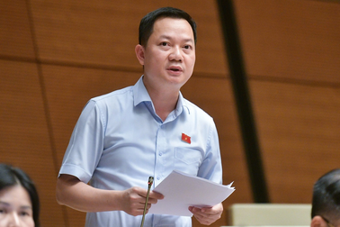 "Đầu tư, cất trữ vàng miếng không lợi lộc, hiệu quả gì cho nền kinh tế"