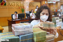 Cựu chủ tịch Agribank Nguyễn Thế Bình bị truy nã: Ngân hàng lên tiếng