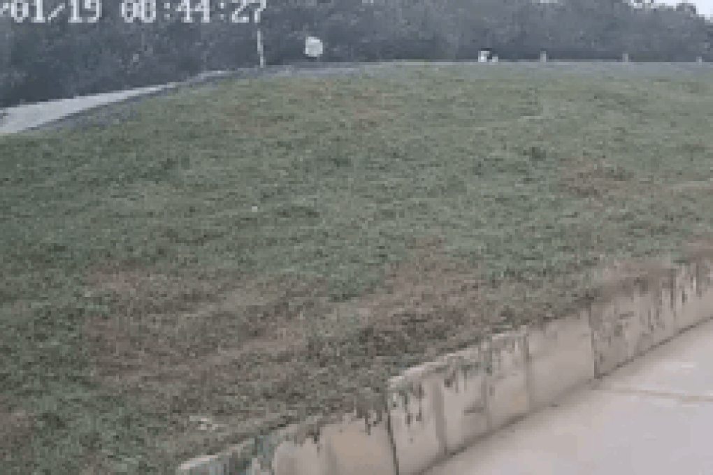 Vụ trâu húc vỡ gan người phụ nữ ở Hà Nội: Chủ trâu phải bồi thường thế nào? - 1 Vụ trâu húc vỡ gan người phụ nữ ở Hà Nội: Chủ trâu phải bồi thường thế nào? - 1