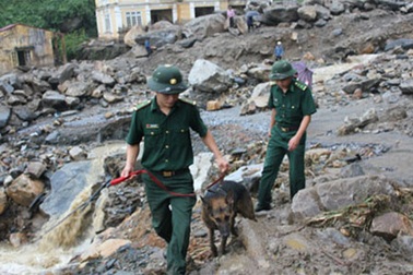 Dùng chó nghiệp vụ tìm kiếm nạn nhân trận lũ quét kinh hoàng