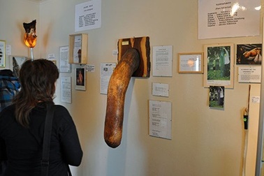 Khám phá những bảo tàng lạ đời nhất thế giới