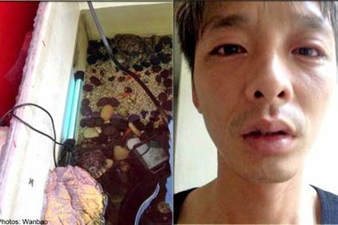 Mù mắt vì đèn... bể cá  