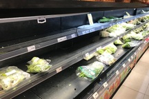 Chưa tới 21h, quầy rau, thịt tại một số siêu thị Hà Nội đã hết hàng