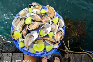 Có một Việt Nam đẹp tuyệt vời qua camera Huawei Nova 3