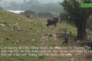 Báo động tình trạng ngập rác thải nhựa tại đê Hữu Hồng