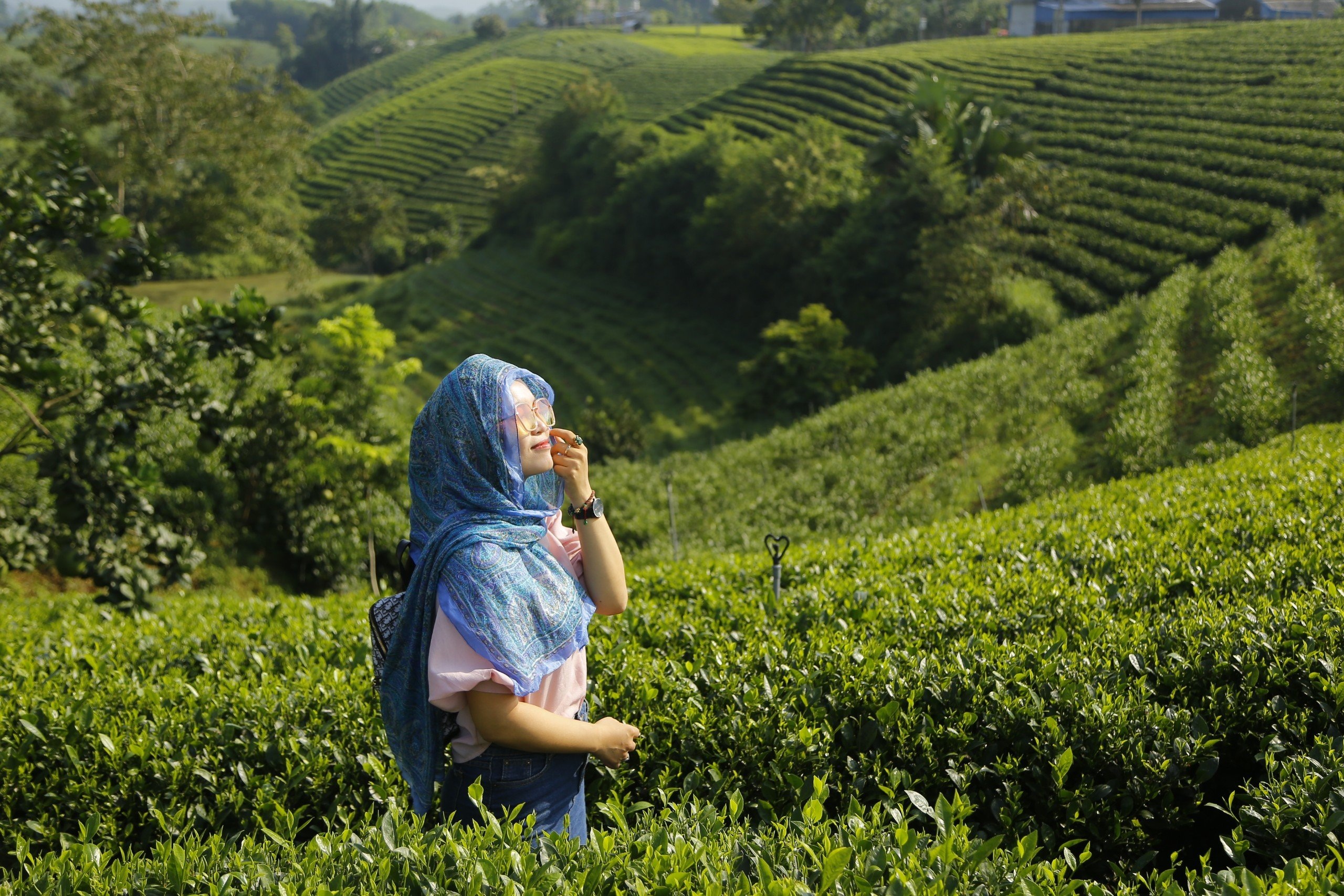 View - Xúc tiến, quảng bá du lịch "xứ chè" Thái Nguyên | Báo Dân trí