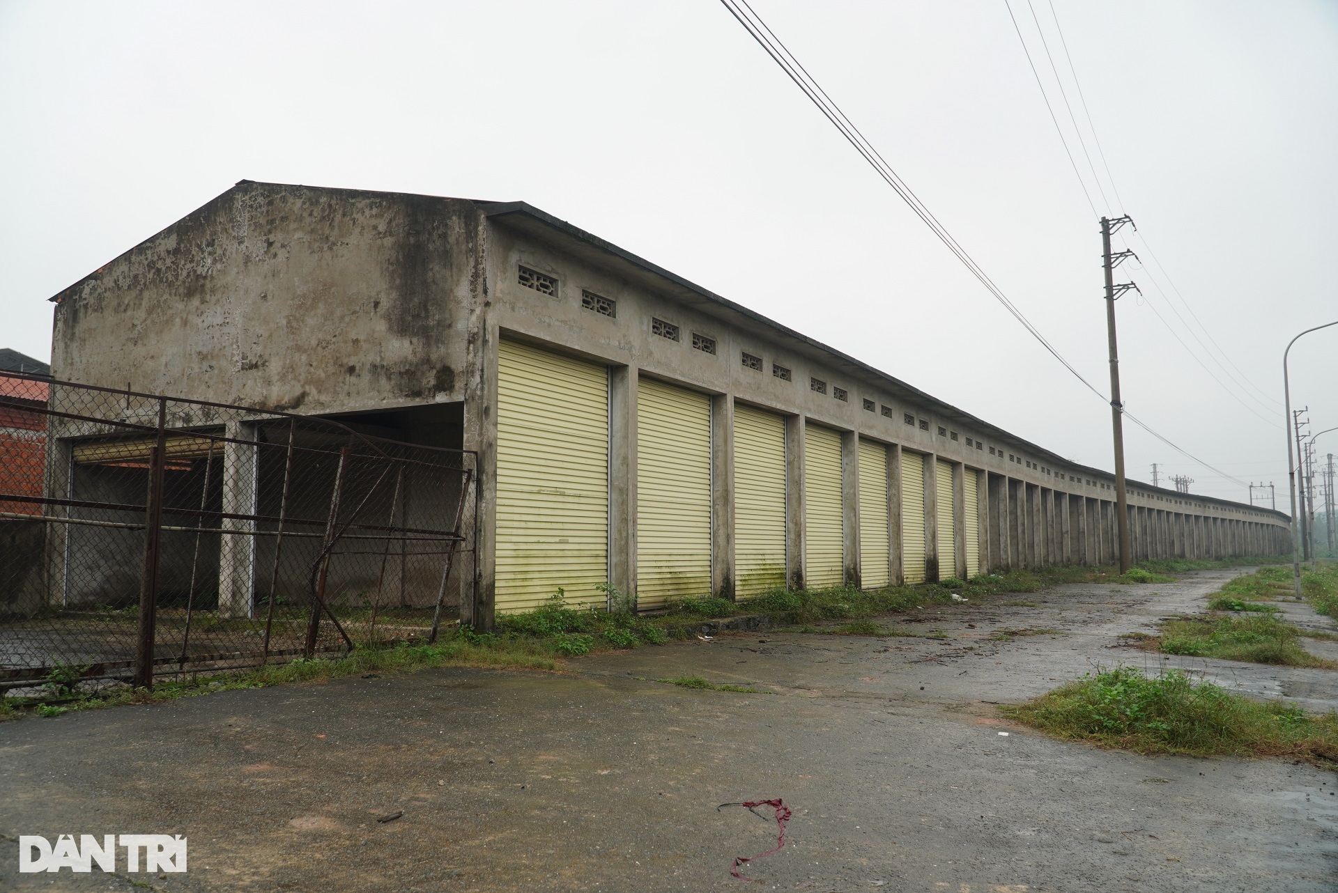 Gần 10.000m2 đất vàng nhiều năm bị bỏ hoang, thành nơi thả gà - 3 Gần 10.000m2 đất vàng nhiều năm bị bỏ hoang, thành nơi thả gà - 3