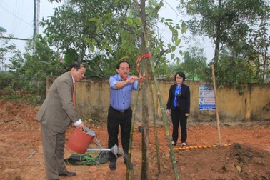 Quảng Trị: Sẽ trồng 50.000 cây xanh dịp Tết trồng cây