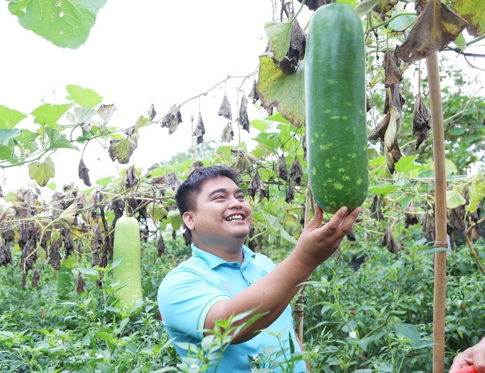 Bốn chàng trai Ê Đê góp vốn khởi nghiệp với trái dưa nước, ớt ở Đắk Lắk - 5 Bốn chàng trai Ê Đê góp vốn khởi nghiệp với trái dưa nước, ớt ở Đắk Lắk - 5