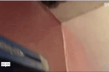 Mỹ: Hết hồn phát hiện 3,5 vạn con ong làm tổ trong nhà