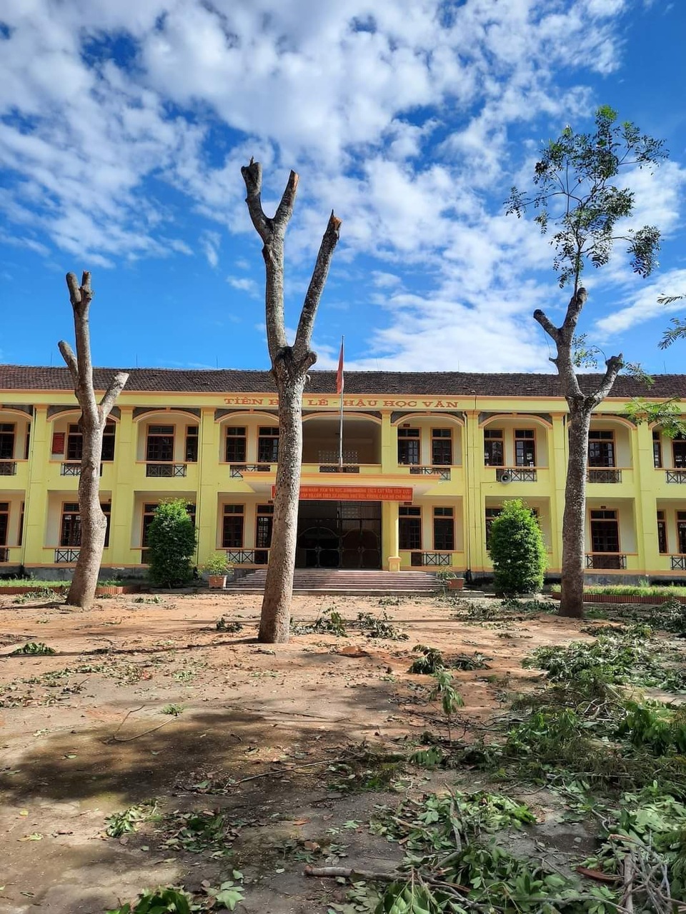 Vụ cắt trụi hàng loạt cây: Yêu cầu Hiệu trưởng kiểm điểm, rút kinh nghiệm - 1 Vụ cắt trụi hàng loạt cây: Yêu cầu Hiệu trưởng kiểm điểm, rút kinh nghiệm - 1