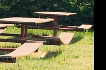 Đường sá nứt toác, nhà cửa biến dạng dưới nắng nóng kỷ lục ở Bắc Mỹ