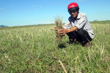 Họp các bên liên quan để giải quyết dứt điểm thiệt hại cho dân
