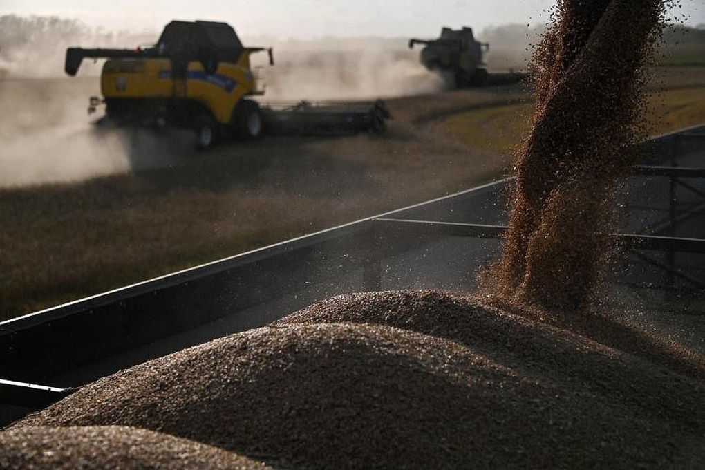 Ukraine phát tối hậu thư, cảnh báo khiếu nại Ba Lan lên WTO - 1 Ukraine phát tối hậu thư, cảnh báo khiếu nại Ba Lan lên WTO - 1