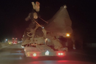 CSGT truy đuổi hàng chục kilomet bắt xe chở cây "quái thú"