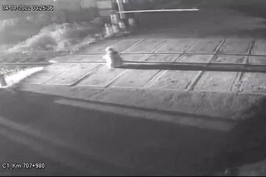 Cụ bà ngồi cạnh đường ray bị tàu hỏa đâm chết