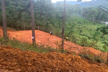 Cán bộ bảo vệ rừng ở Lâm Đồng bị dọa giết