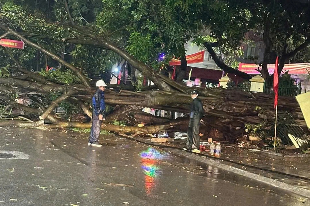 Cổng chào Khu di tích quốc gia đặc biệt Lam Kinh bị gió quật đổ - 2 Cổng chào Khu di tích quốc gia đặc biệt Lam Kinh bị gió quật đổ - 2