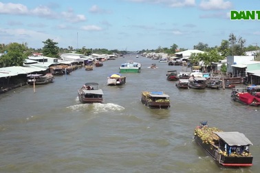 Thăm chợ nổi chỉ bán mỗi dừa độc nhất Việt Nam, sạch bong, thơm phức và khô