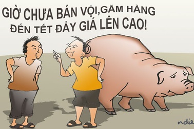 Khi rớt giá thì yêu cầu giải cứu, lúc giá cao thì giở võ găm hàng