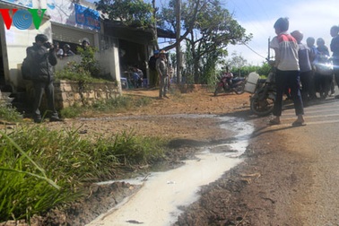 Bò sữa kêu cứu ngành y