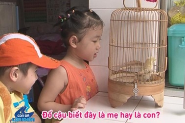 Voi, hổ xuất hiện trong “Con đã lớn khôn”