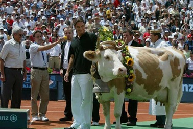 Chùm ảnh: Những chiếc Cúp được thiết kế độc đáo nhất