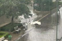 Thanh niên rơi từ tầng cao chung cư ở Hà Nội xuống đất tử vong