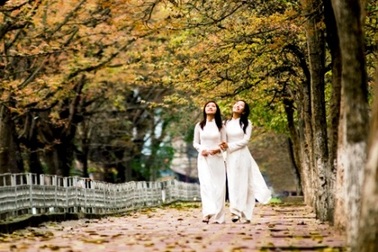 Du lịch mùa thu khuyến mãi càng lớn