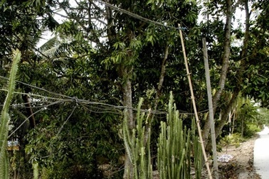 Dân bức xúc vì phải sử dụng điện câu đuôi giá cao, nhiều hiểm họa