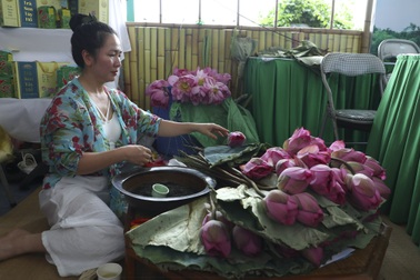Thưởng thức trà sen hảo hạng tại Lễ hội sen Hà Nội