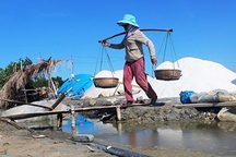 Một tạ muối đổi được...…2 tô bún!