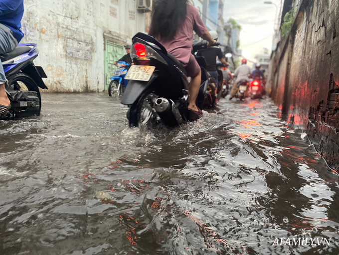 TP.HCM: Mưa lớn khiến đường ngập, cây gãy và kẹt xe, người dân lại khốn khổ lội bì bõm về nhà - Ảnh 6.