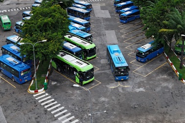 Lý do Phương Trang có giá dự thầu cao vẫn thắng 2 gói thầu xe buýt ở TPHCM