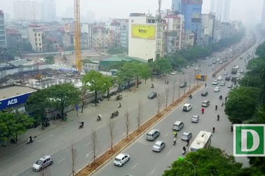 Cây phong lá đỏ lần đầu tiên được trồng trên phố Hà Nội