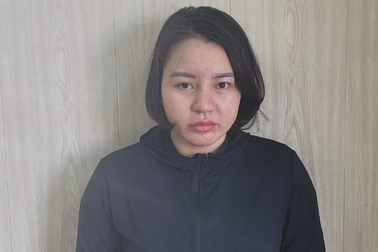 "Nữ quái" huy động vốn để mua bất động sản giá gốc rồi ôm hơn 40 tỷ bỏ trốn