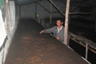 Hà Tĩnh: Nông dân khốn đốn vì… giun