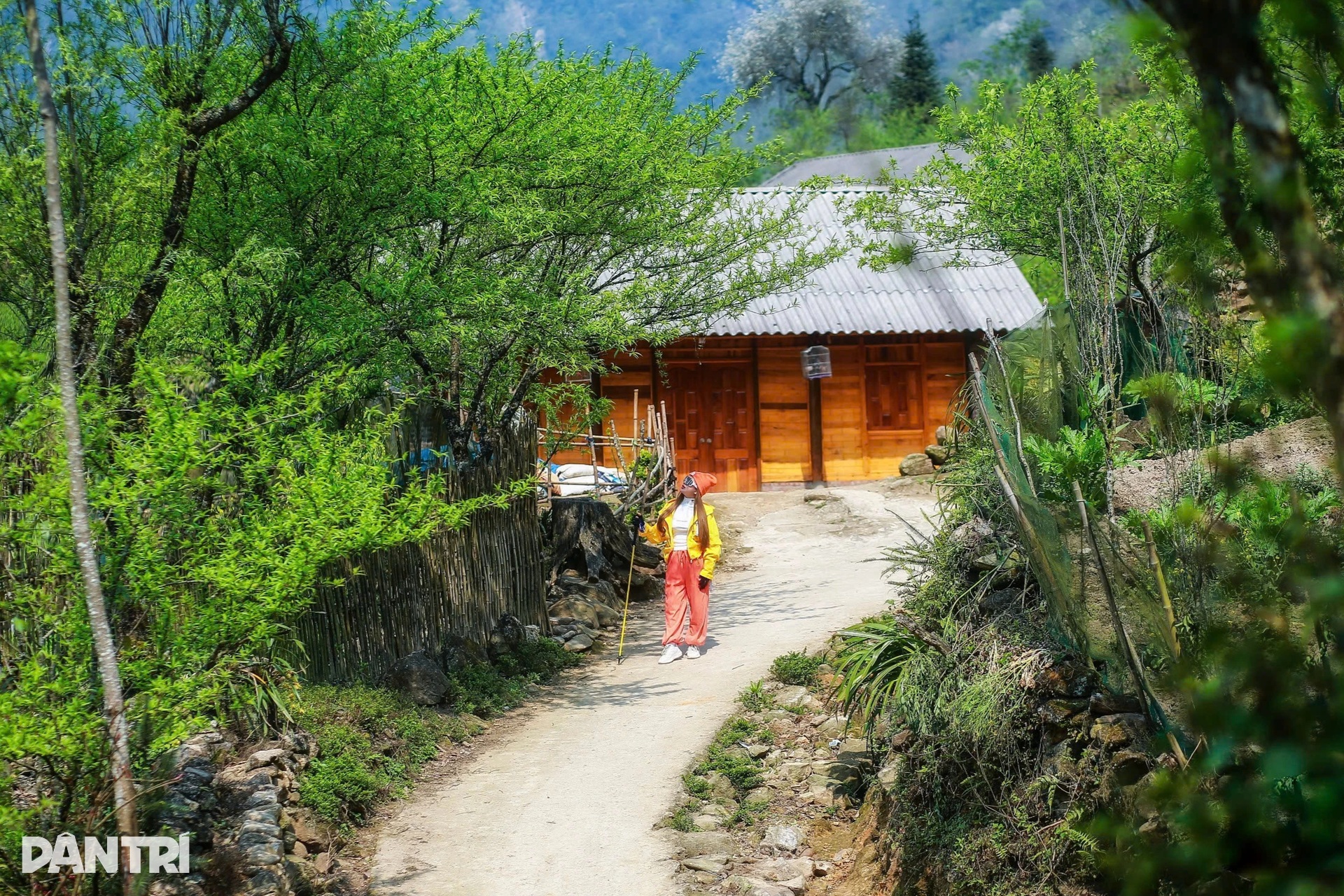 Ngủ đêm trong rừng, dậy từ 3h để săn bình minh ở độ cao gần 3.000m - 3