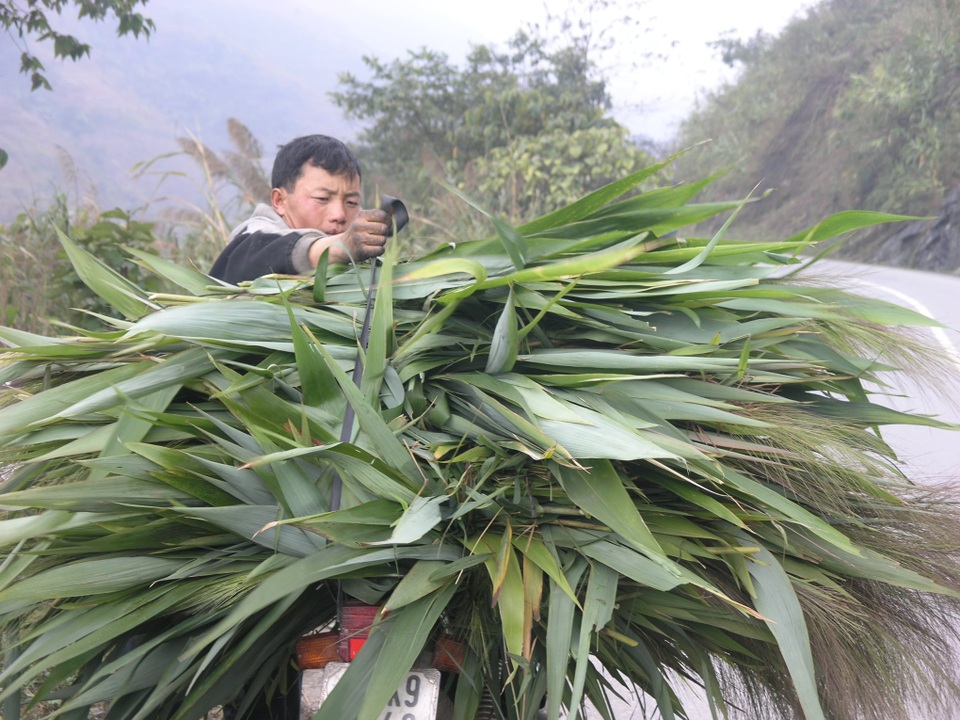 Nhịp sống vùng cao Sa Pa trong giá lạnh 0 độ - 5 Nhịp sống vùng cao Sa Pa trong giá lạnh 0 độ - 5